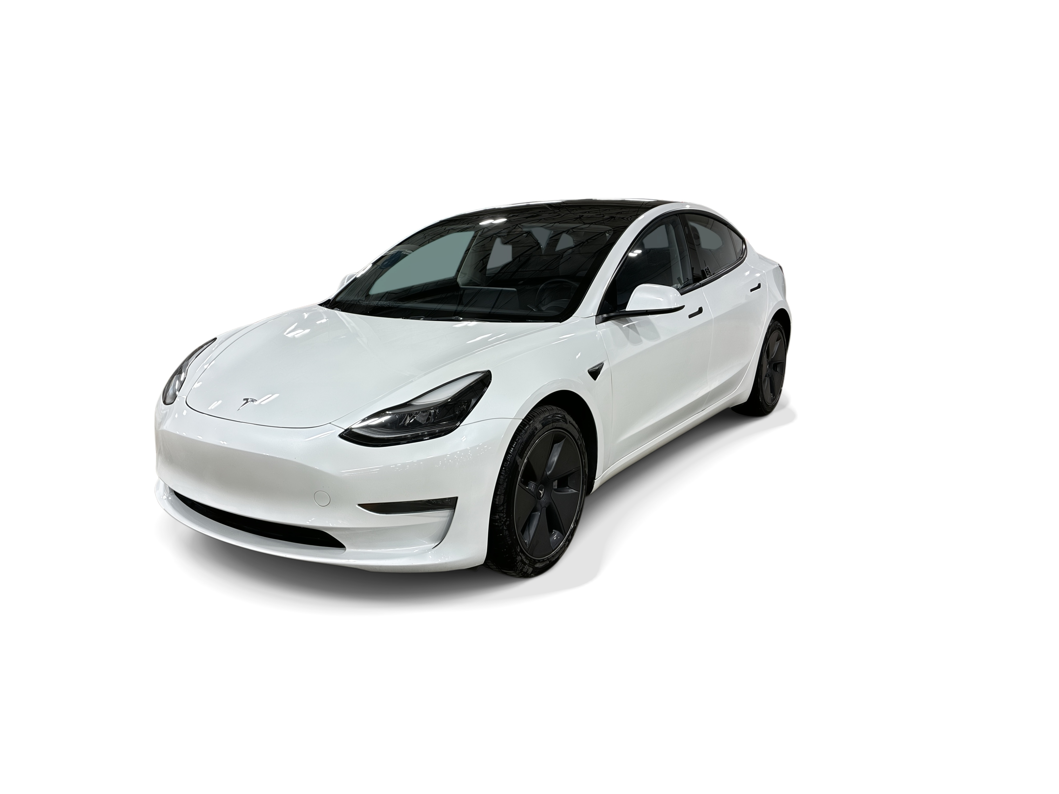 tesla model 3 2023 5YJ3E1EA4PF598191 image tesla model 3 2023 5YJ3E1EA4PF598191 image